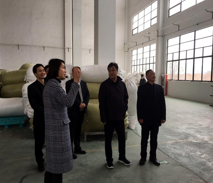 徽商銀行吳學民董事長、安慶分行洪少平行長一行蒞臨鴻潤公司視察指導