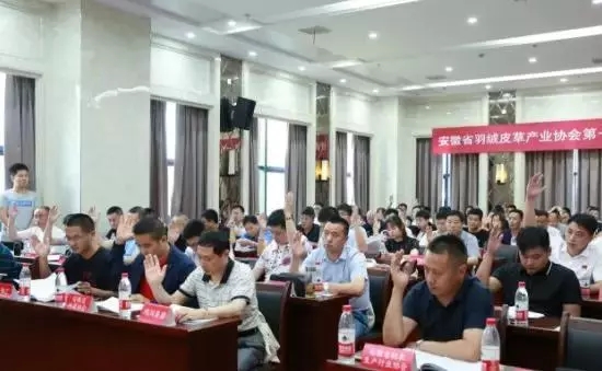 安徽省羽絨皮草產(chǎn)業(yè)協(xié)會(huì)成立，夏吉國(guó)總裁任第一屆理事會(huì)顧問(wèn)